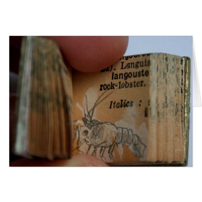 DicofrAngle Miniaturbuch Krebs Zeichnend Karte (Vorderseite (Horizontal))