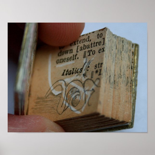 DicofrAngle Miniature Livre coupé Dessin Poster (Devant)