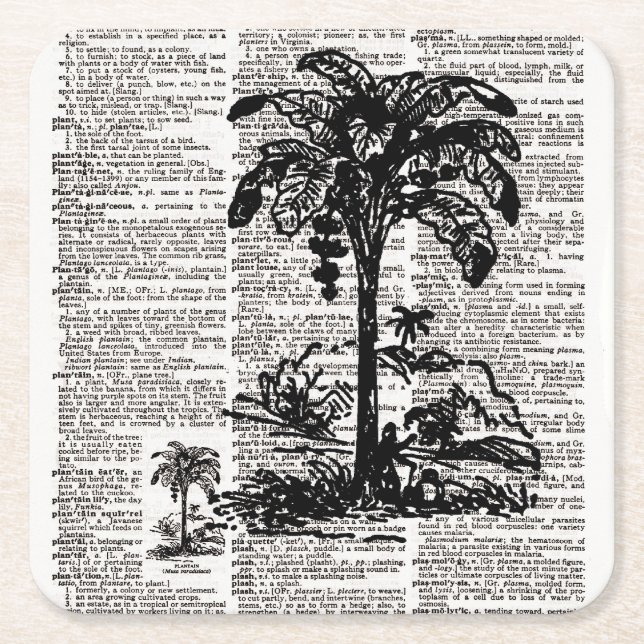 Dictionary Art Palm Tree Rechteckiger Pappuntersetzer (Vorderseite)