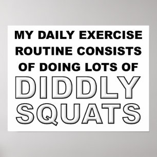 Didly Squats Funny Poster