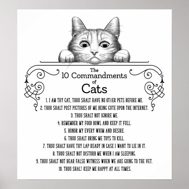 Die 10 Gebote von Cats Funny Poster (Vorne)