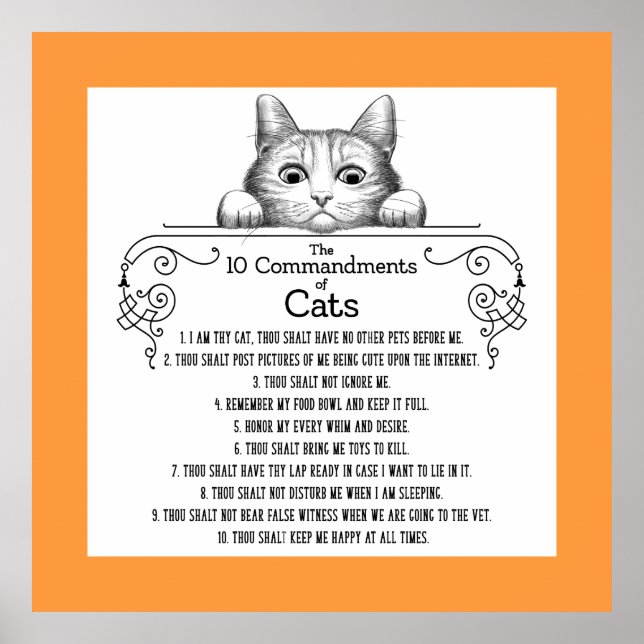 Die 10 Gebote von Cats Funny Poster (Vorne)