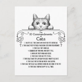 Die 10 Gebote von Cats Funny Postkarte