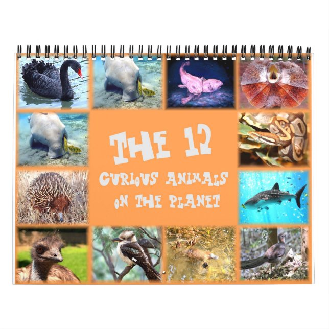 Die 12 eigenartigsten Tiere auf dem Planeten Kalender (Titelbild)