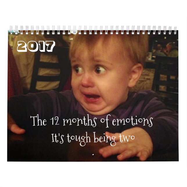 Die 12 Monate von Gefühlkleinkind Problemen. Kalender (Titelbild)