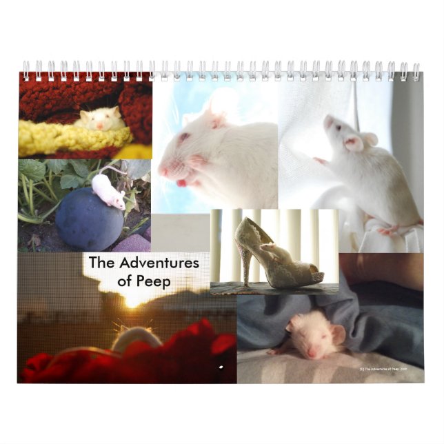 Die Abenteuer des Blick-Kalenders Kalender (Titelbild)