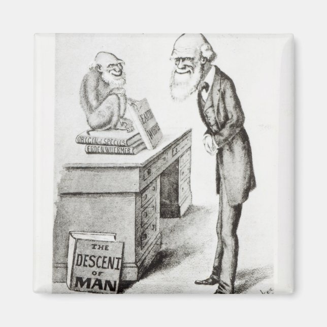 Die Abstammung des Menschen Magnet (Vorne)