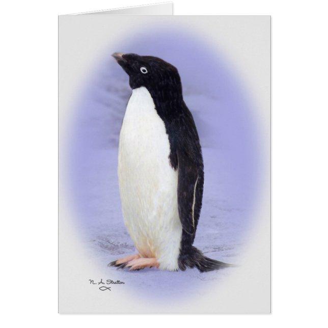 Die Ade'lie Pinguin-Karte (Vorne)