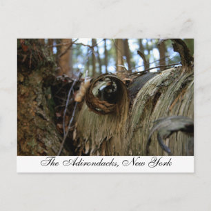 Die Adirondacks, New York Postkarte