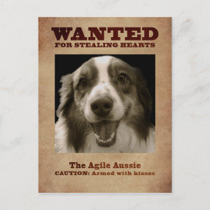 Die Agile Aussie Postkarte