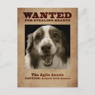 Die Agile Aussie Postkarte