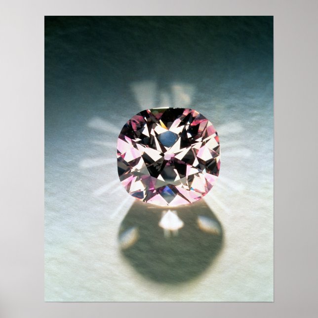 Die Agra Diamond Poster (Vorne)