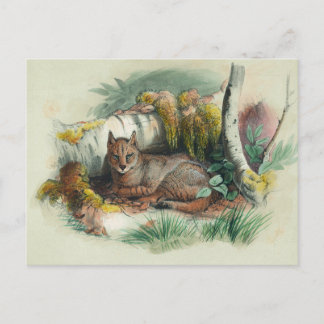 Die ägyptische Katze von Joseph Wolf Postkarte