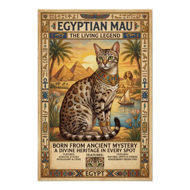 Die Ägyptische Mau  Poster (Vorderseite)