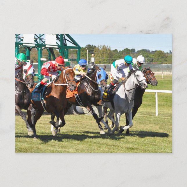 Die Alphabet-Suppe 2017 Postkarte (Vorderseite)