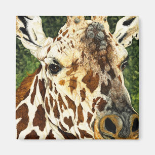 Die alte Junggeselle-Giraffe Magnet
