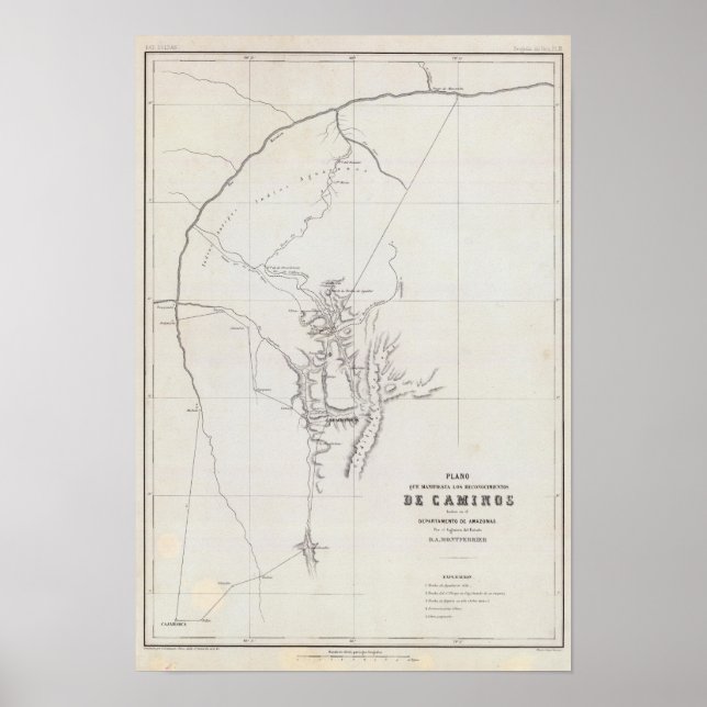 Die Amazonen 2 Poster (Vorne)