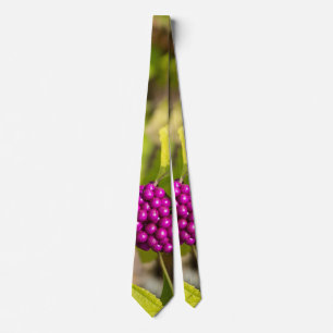 Die amerikanische Beautyberry-Krawatte Krawatte
