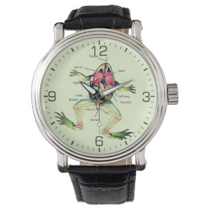 Die Anatomie des Frosches Armbanduhr