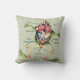 Die Anatomie des Frosches Kissen