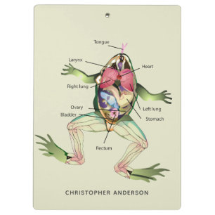 Die Anatomie des Frosches Personalisiert Klemmbrett