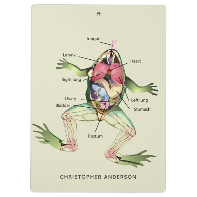 Die Anatomie des Frosches Personalisiert Klemmbrett (Rückseite)