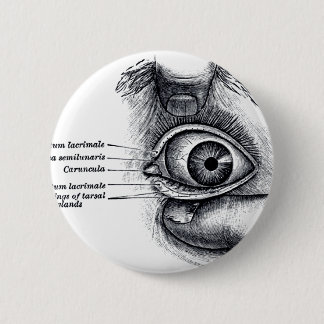Die Anatomie des Graus - Augapfel Button