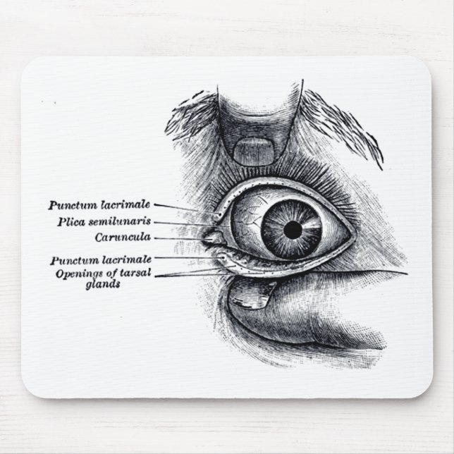 Die Anatomie des Graus - Augapfel Mousepad (Vorne)