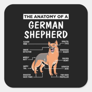 Die Anatomie eines deutschen Hirten Quadratischer Aufkleber