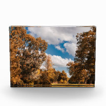 Die andere Seite des Herbstes