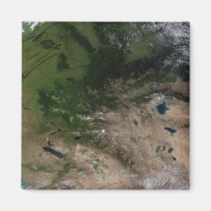 Die Änderung in der Vegetation Magnet