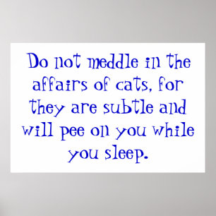Die Angelegenheiten der Katzen Poster