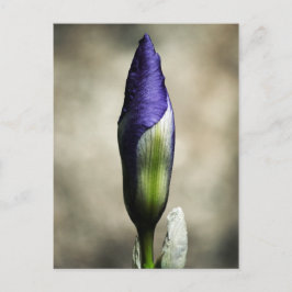 Die Ankunft Schönheit Postkarte