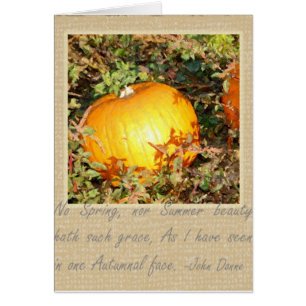 Die Anmut des Herbstes