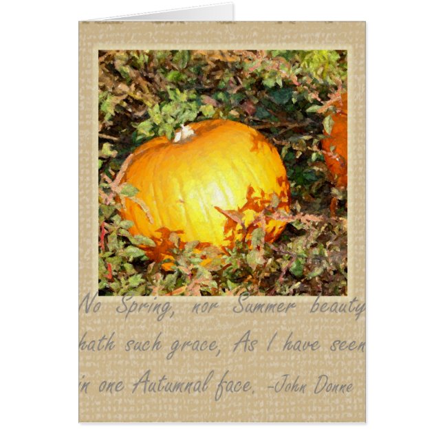 Die Anmut des Herbstes (Vorne)