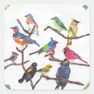 Die Ansammlungs-bunten Singvogel-Aufkleber Quadratischer Aufkleber