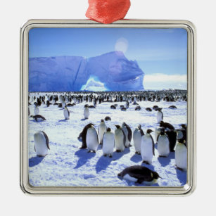 Die Antarktis, antarktische Halbinsel, Weddell Ornament Aus Metall