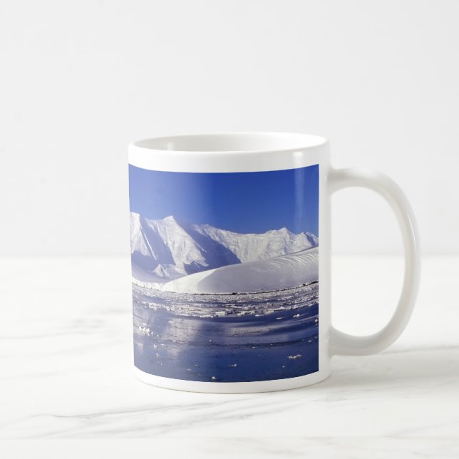 Die Antarktis Kaffeetasse (Rechts)