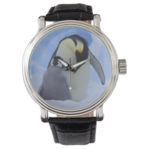 Die Antarktis. Kaiser-Pinguine und -küken Armbanduhr