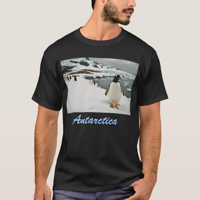 Die Antarktis-T - Shirt (Vorderseite)