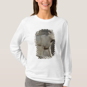 Die API Stier, vom Serapeum, Memphis T-Shirt