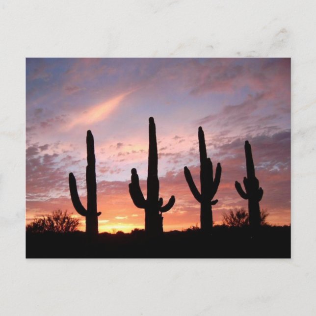 "Die Arizona-Show" Postkarte (Vorderseite)