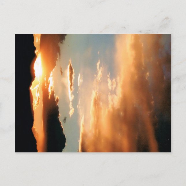 "Die Arizona-Show" Postkarte (Vorderseite)