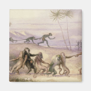 Die Arten und die Gewohnheiten der Affen Magnet