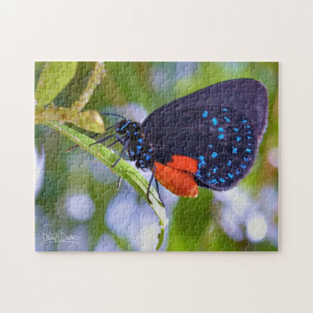 Die Atala (Horizontal)