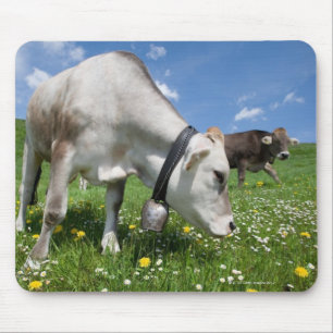Die Aufnahmen wurden mit einem Weitwinkelobjektiv Mousepad