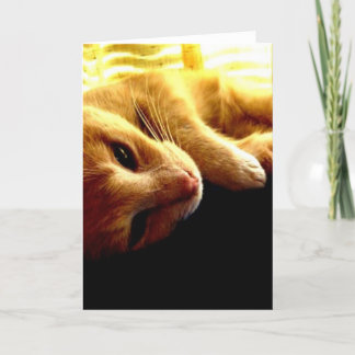 Die Augen des Engels Karte