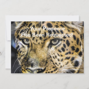 Die Augen eines Leoparden Einladung