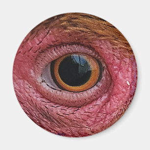 "Die Augen haben es" Hühnerauge #1 Magnet