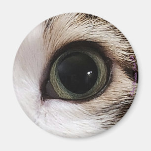 "Die Augen haben es" Katzenauge #2-Magnet Magnet